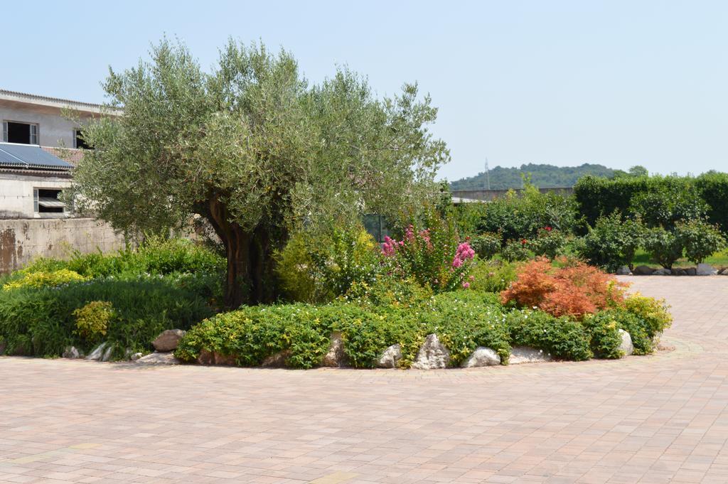 Agriturismo Ca' Del Gal 明乔河畔的瓦雷奇奥 外观 照片