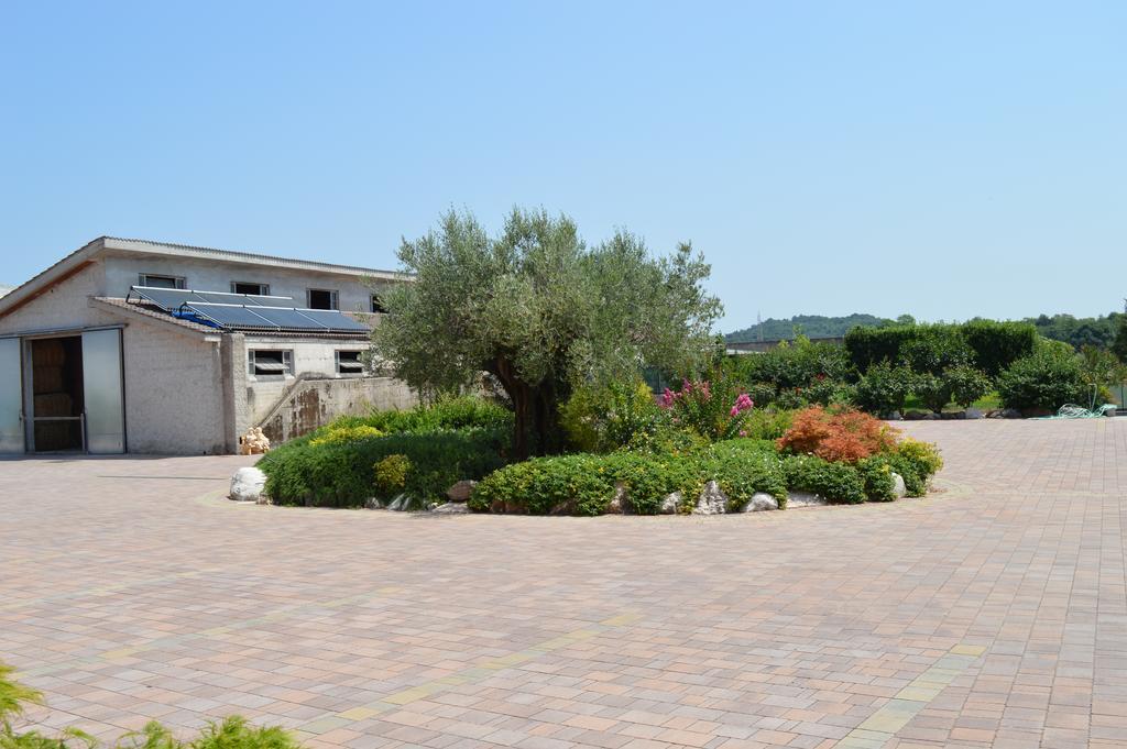 Agriturismo Ca' Del Gal 明乔河畔的瓦雷奇奥 外观 照片