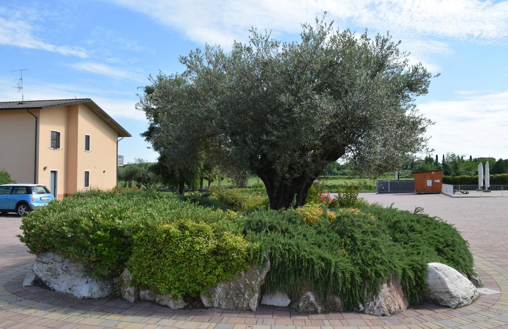 Agriturismo Ca' Del Gal 明乔河畔的瓦雷奇奥 外观 照片