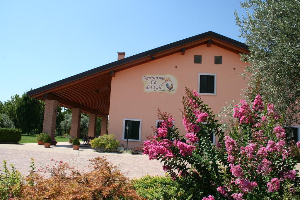 Agriturismo Ca' Del Gal 明乔河畔的瓦雷奇奥 外观 照片
